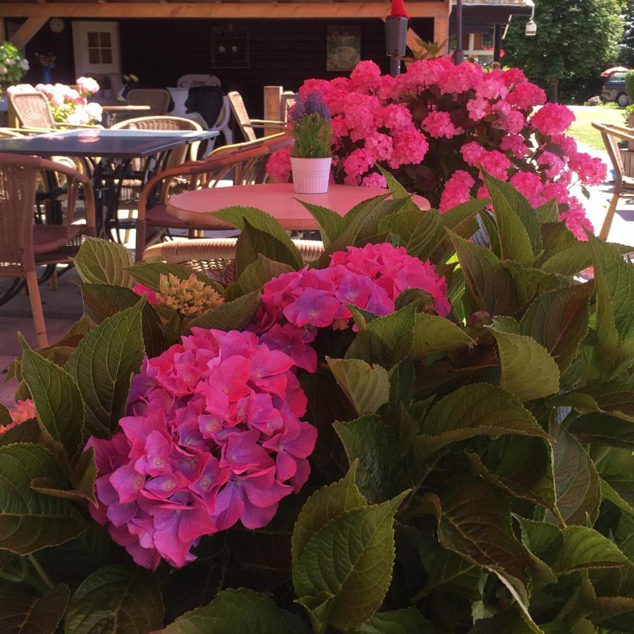 Boerderijcamping Plantlust Veere Luaran gambar