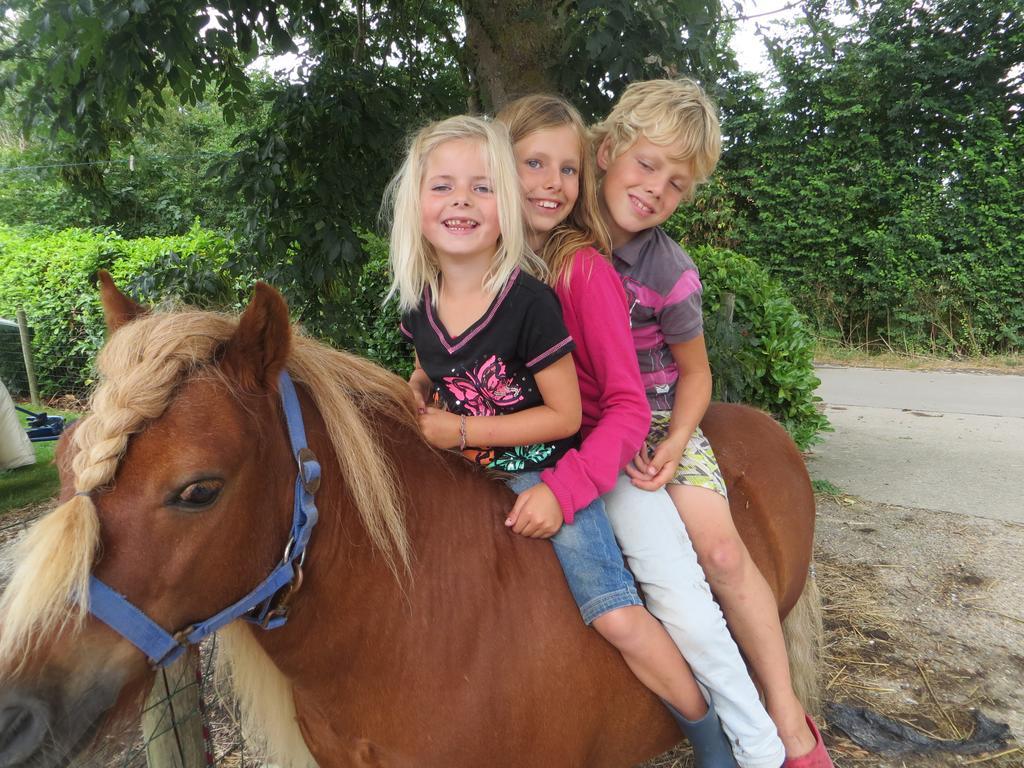 Boerderijcamping Plantlust Veere Bilik gambar