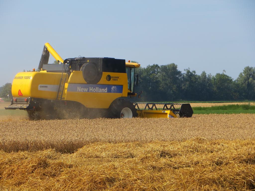 Boerderijcamping Plantlust Veere Bilik gambar