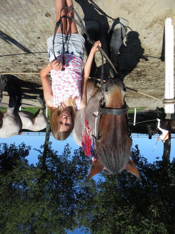 Boerderijcamping Plantlust Veere Luaran gambar