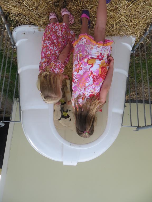 Boerderijcamping Plantlust Veere Luaran gambar
